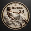 | SECTION 23 |
