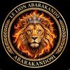 Le lion 🦁 abarakando91