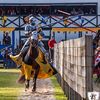 Abbey Museum&Medieval Festival