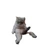Animixt_wbrt
