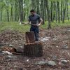 Axe Files