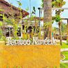 Bamboo NUMERIK
