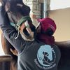 BartVetPhysio