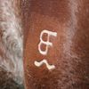Beechfork Ranch