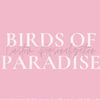 Birds of paradise ✨