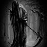 Bone-PL 248