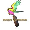 Bossaroadside