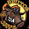 Diego brutos do java