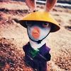 Buckeevr