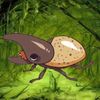 Bug