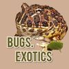 Bug 🧫