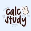 calcstudy