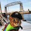 CaptainSqueaks
