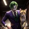 catfunboy