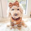 Sassy & Sweet MiniGoldenDoodle