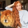 Chaotically Creative Ginger