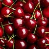 Cherryfoundation