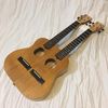 CircuitsAndStrings