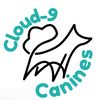Cloud-9 Canines
