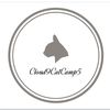 Cloud9CatCamp5
