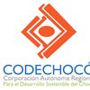 CODECHOCO