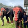 🐘🎪🦍CodeNameDebo🦍🎪🐘