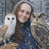 CodeyTheEagleOwl