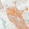Free colored videos!