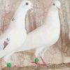 ✌🏿ولید،بلوچ✌🏿