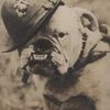 Commando_bubba