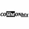 Common.htx