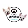coo724【YouTubeやってます】