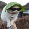 Andrew Crypto