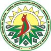 csango.ro