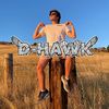 D-Hawk