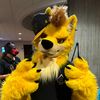 Daxterdingo