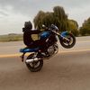 dingusrides