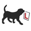Bulled and son Dog Training