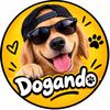 Dogando🐶