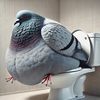 donpollo