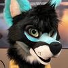 DraftStallion