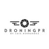 DRONINGPR