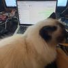 ectech_mactips