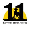 Eleventh Hour Rescue