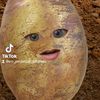 Em_perpetual_potatoes