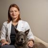 Emergency Veterinarian