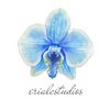 erialcstudios