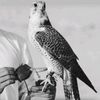 من الاخـر.🔥🎼.