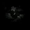 eror_ly