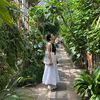 Eviewears